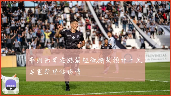 普利西奇右腿筋轻微撕裂预计十天后重新评估伤情