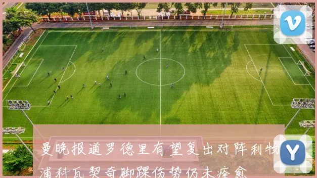 曼晚报道罗德里有望复出对阵利物浦科瓦契奇脚踝伤势仍未痊愈