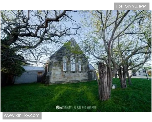 小桥谈三球和米勒上场时间受限积极性高昂不断鼓励队友表现 小桥谈三球和米勒上场时间受限积极性高昂不断鼓励队友表现